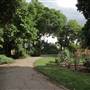 St Peters Square (The park)