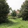 Wormwood Scrubs