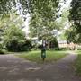 Avondale Park - Main Area