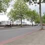 Embankment Gardens Chelsea