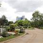 Gunnersbury Cemetery - Main Area