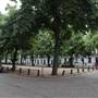 Royal Avenue