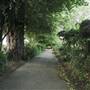 Bishops Park - River Walk / Thames Path