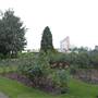 Bishops Park - Rose Gardens