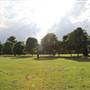 Ravenscourt Park - Main Park