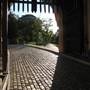 Vanderbilt Museum