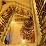 Vanderbilt Museum