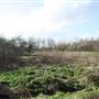 South Norwood Country Park