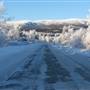 Fish Lake Road December