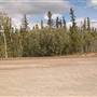 Grey Mountain Viewpoint