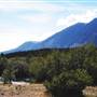 Haines Junction Field