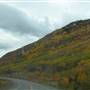 Klondike Highway