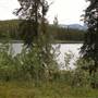 Long Lake Summer