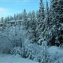 Mary Lake Area