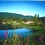 Silver Trail Inn