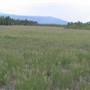 Smith's Hay Field