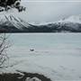 Tagish Lake May