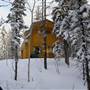 Yukon Forest Cabins