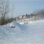 Yukon Wildlife Preserve