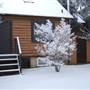 Whitehorse Winter Street Scenes