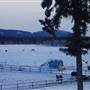 Winter Farms