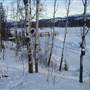 Winter Farms