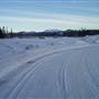 Winter Farms