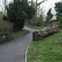 Riverside Gardens
