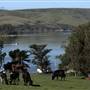 Straus Home Ranch