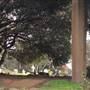Fernwood Cemetery