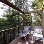 Modern Private Home with Trees