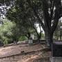 Pioneer Hill