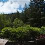Vintage 1920's Home on 5 Forested Acres