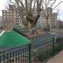 Nelson Square