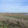 Thames Estuary Path