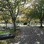 Chiswick Old Cemetery