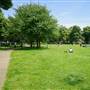 Turnham Green