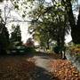 Hendon Park