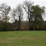 The Mill Field