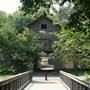 McDaniel Farm Park