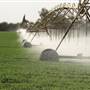 Green Circular Farms - Meegowa  - المزارع الدائرية الخضراء - ميقوع