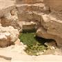 Tarout Castle - قلعة تاروت