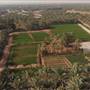 Peddy Crops & Palm Garden مزارع الرز والنخيل