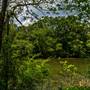 Simpsonwood Park