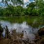 Simpsonwood Park