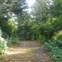 Finchley Mortuary