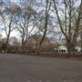 Coram's Fields