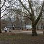 Coram's Fields