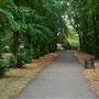 Friary Park
