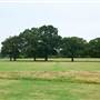 Tudor Park